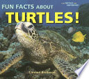 Fun Facts About Turtles! cover