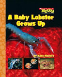 A Baby Lobster Grows Up cover