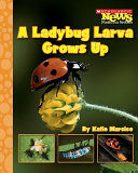 A Ladybug Larva Grows Up cover