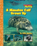 A Manatee Calf Grows Up cover