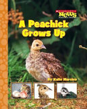 A Peachick Grows Up cover