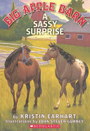 A Sassy Surprise cover