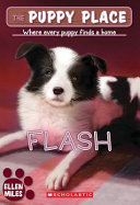 Flash cover
