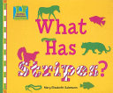 What Has Stripes? cover