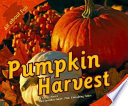 Pumpkin Harvest cover