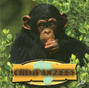Chimpanzees cover