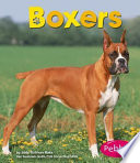 Boxers cover