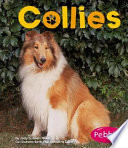 Collies cover