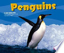 Penguins cover