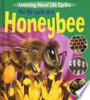 The Life Cycle of a Honeybee cover