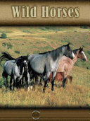 Wild Horses (Eye to Eye with Horses) cover