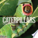 Face to Face with Caterpillars cover
