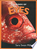 Eyes cover