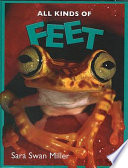 Feet cover