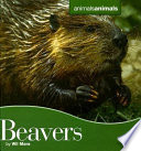 Beavers cover