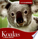 Koalas cover