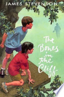 The Bones in the Cliff cover