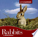 Rabbits cover