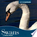 Swans cover