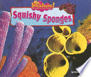 Squishy Sponges cover