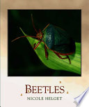Beetles cover