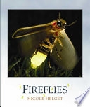 Fireflies cover