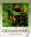 Grasshoppers (BugBooks) cover