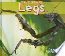 Legs cover