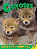 Coyotes cover