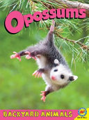 Opossums cover
