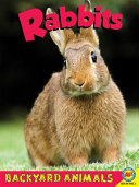 Rabbits cover