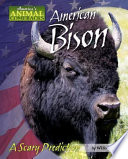 American Bison: A Scary Prediction cover