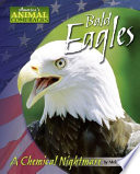 Bald Eagles: A Chemical Nightmare cover