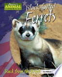 Black-Footed Ferrets: Back from the Brink cover