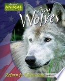 Gray Wolves: Return to Yellowstone cover