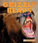 Grizzly Bears cover