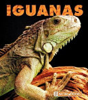 Iguanas cover