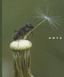 Ants cover