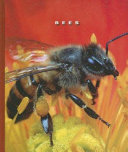Bees cover