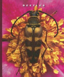 Beetles cover