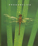 Dragonflies cover