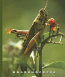 Grasshoppers cover