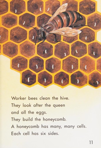 Honey Bees cover