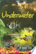 Underwater cover