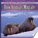 How Animals Migrate cover