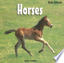 Horses cover