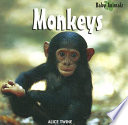 Monkeys cover