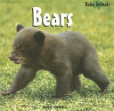 Bears cover