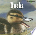 Ducks cover