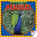 Peacocks cover